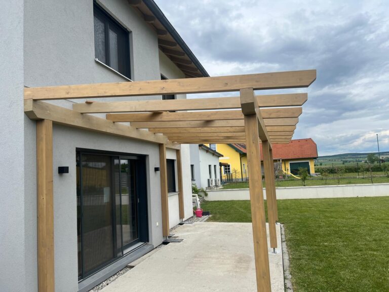 Terrassenüberdachung (2)